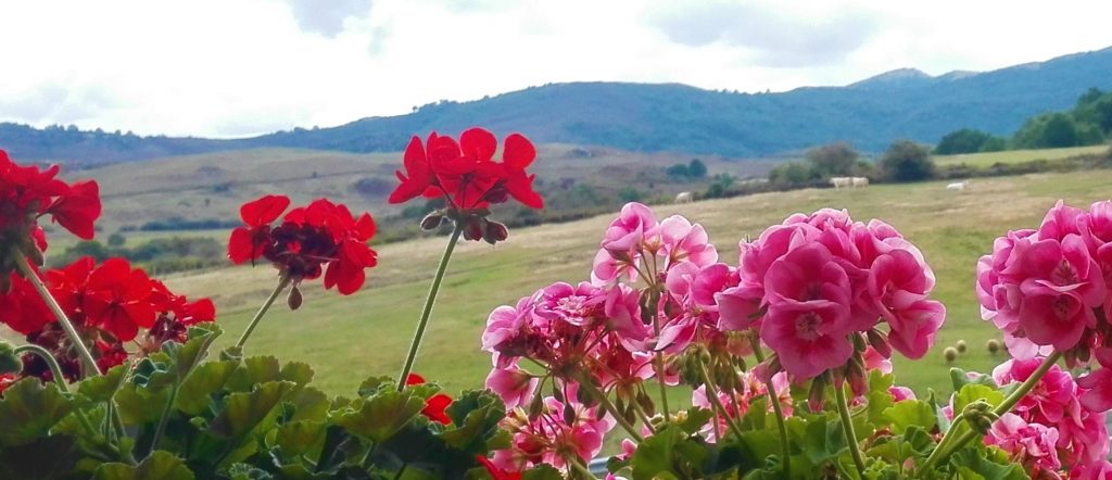 Vistas Casa rural La Toba