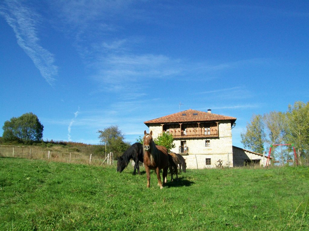 casa rural La Toba con caballos