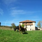 casa rural La Toba con caballos