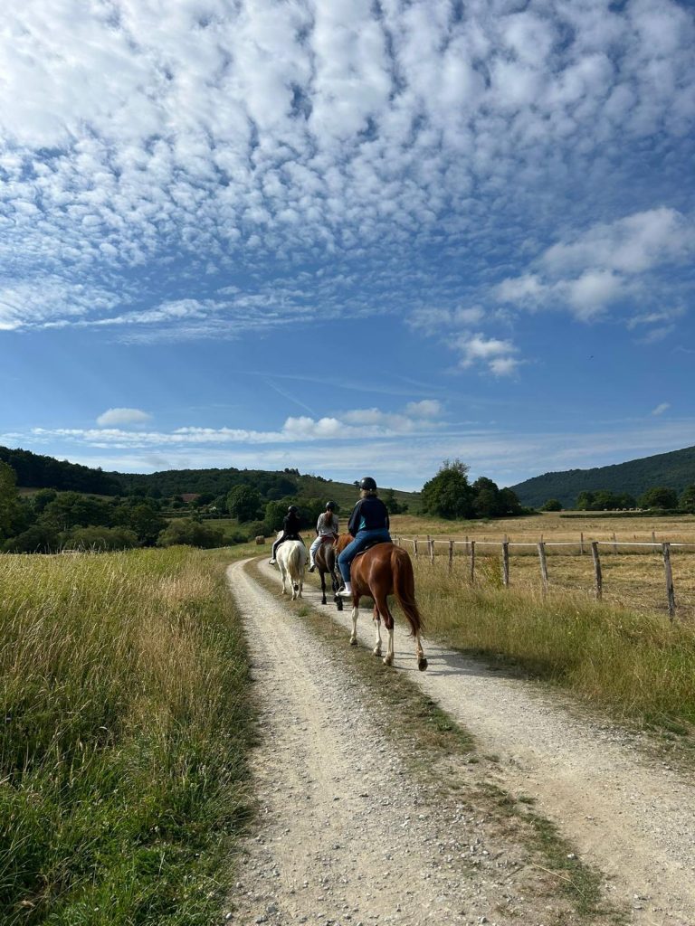 paseos a caballo en el Valle de Valdebezana, actividad casa rural La Toba