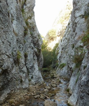 Desfiladero de las Palancas