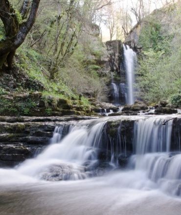 ruta de senderismo Las Pisas en Valle de Valdebezana
